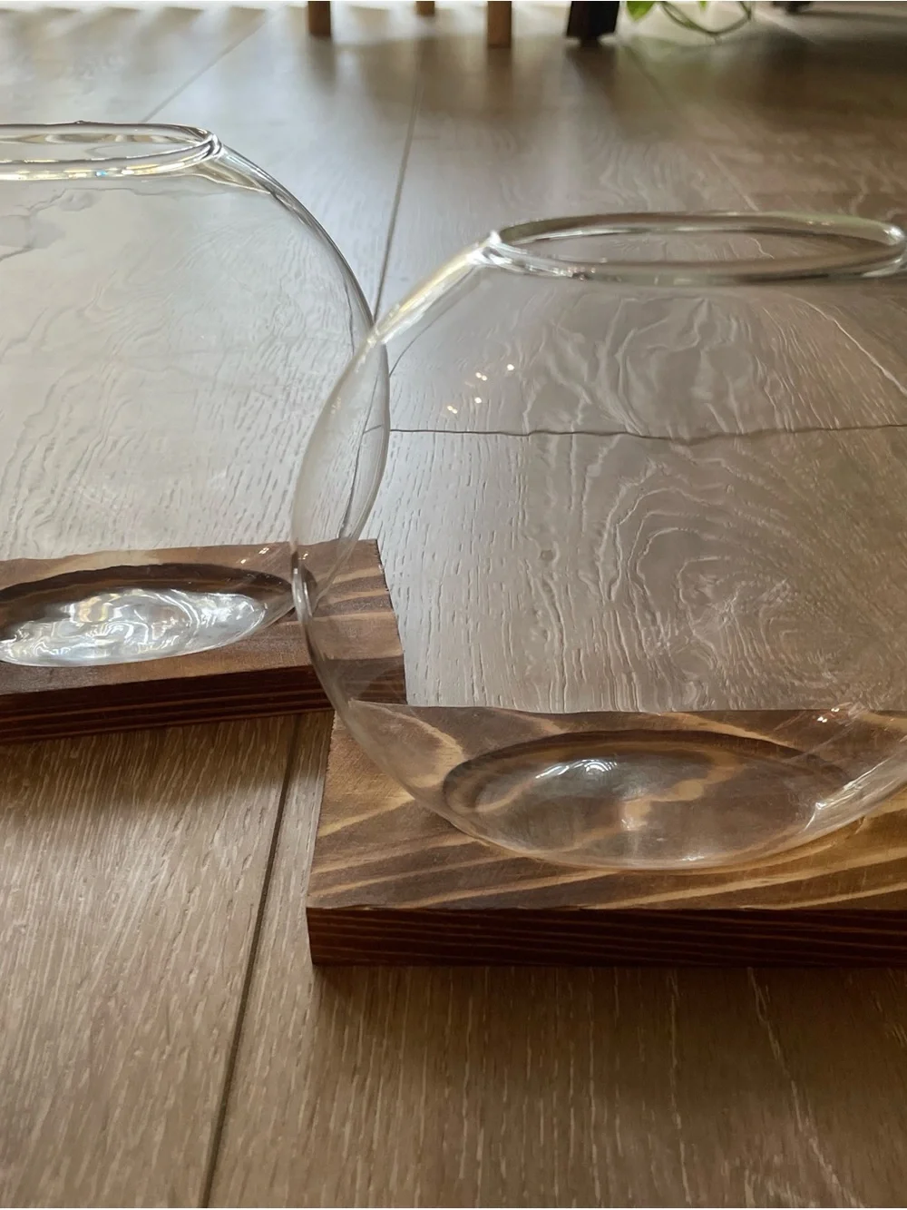 Plant Propagation Clear Glass Vases with Wood Base - Set of 2